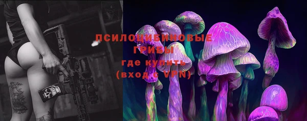 первитин Лабытнанги